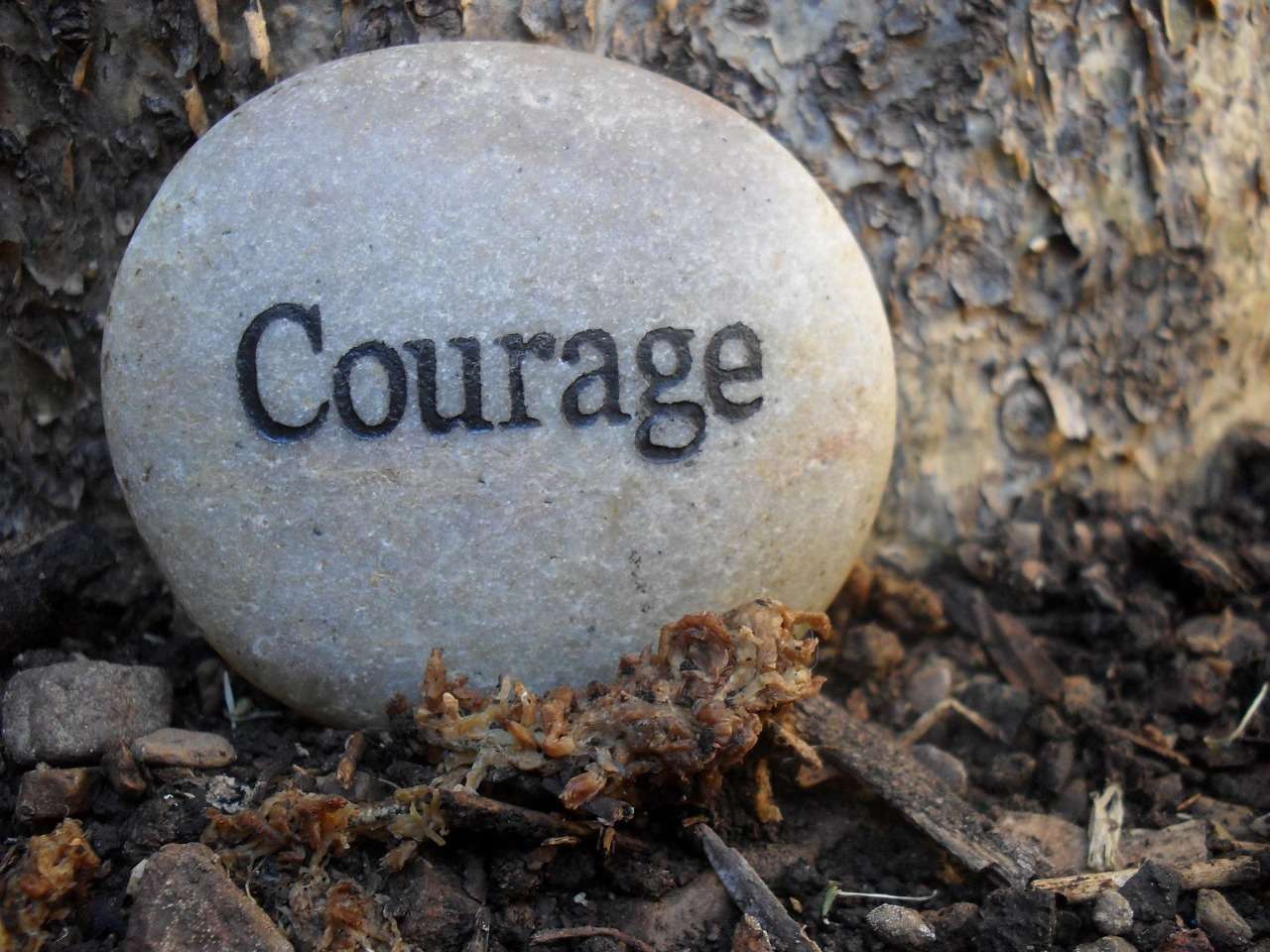 Are you at your courage edge on your heroes’ journey or over focussed on balance and wellbeing ?